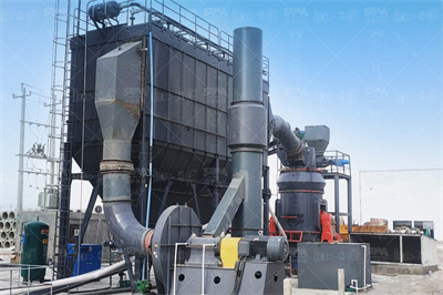 吃黑豆,黑米,黑芝麻,枸杞一起煮成的粥能够黑发,是否有 ...